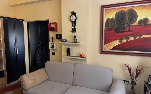 Apartament 1+1